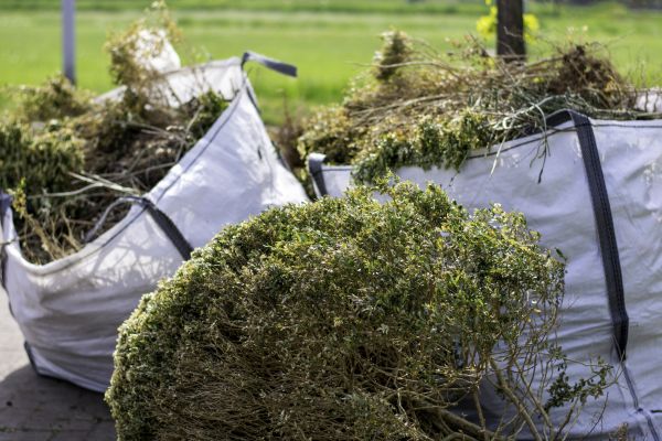 Cost of Shrubs Removal in Nashville