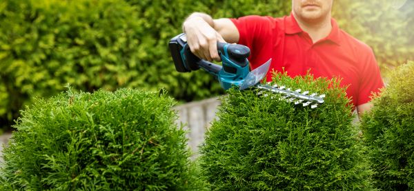 Cost of Hedge Shaping Service in Nashville