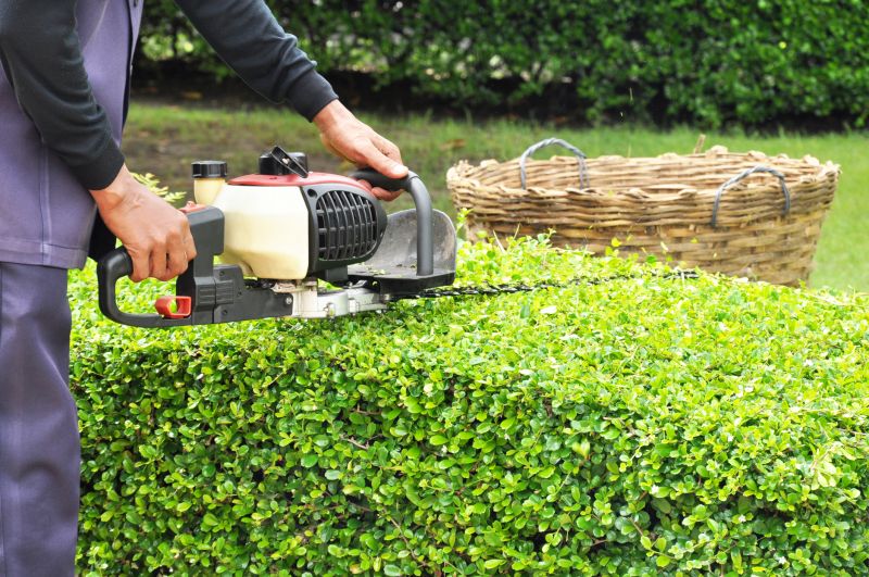 Hedge Shaping Service