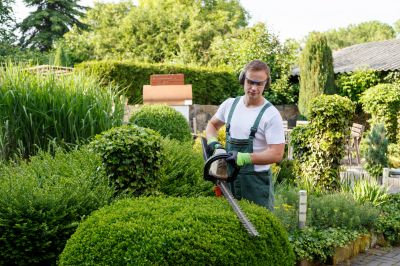 Residential Shrub Maintenance