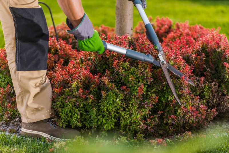 Seasonal Shrub Care